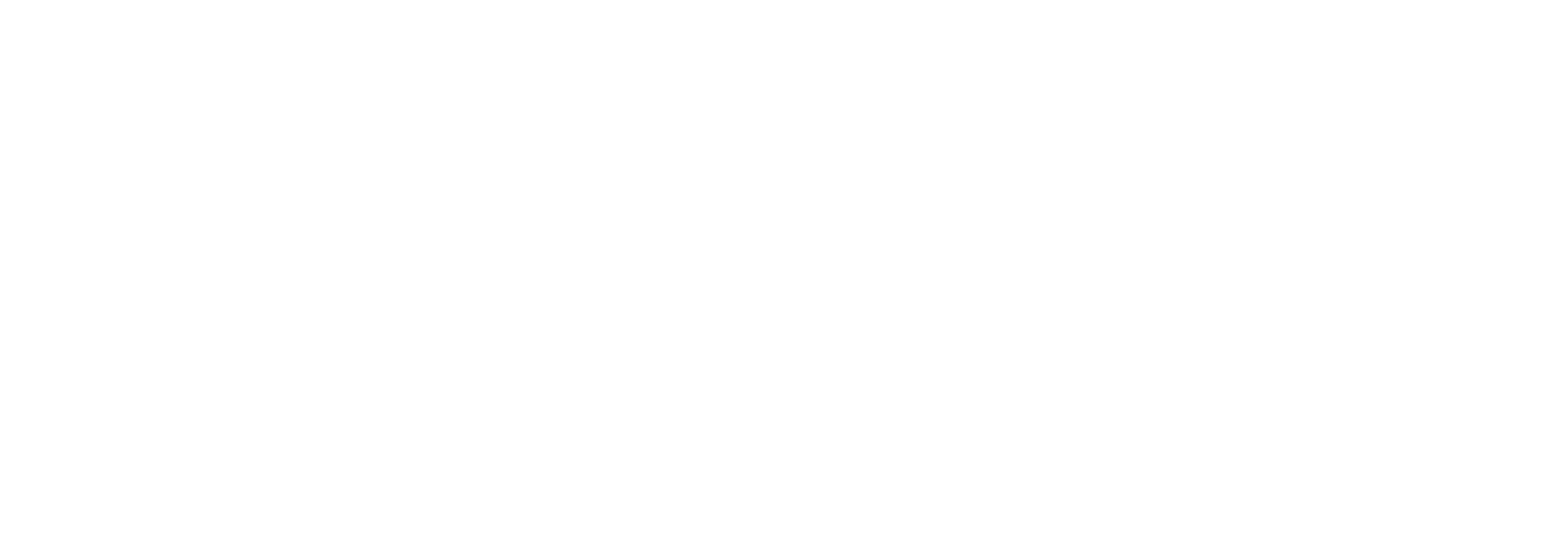 IFS Logo