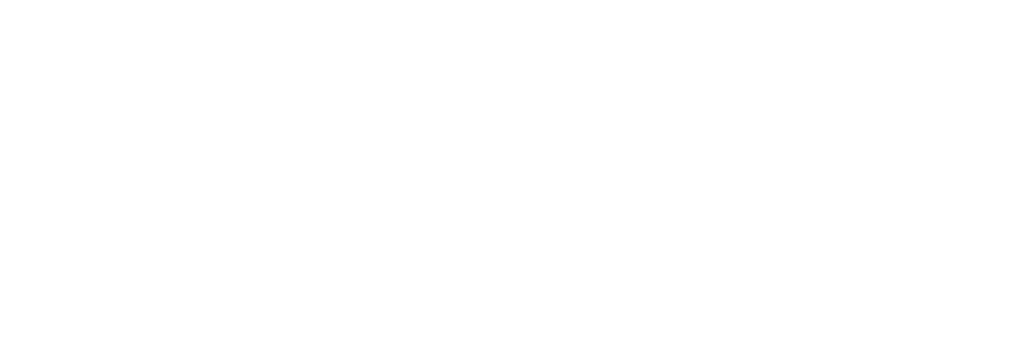 NetSuite Logo