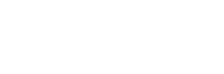 IFS Logo